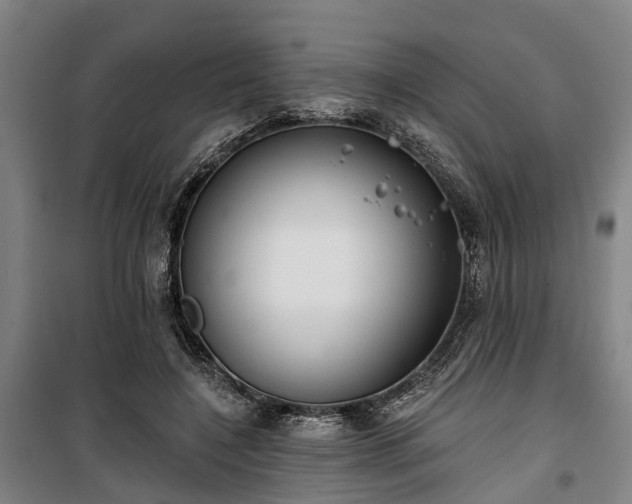 X0000100330548200806121130