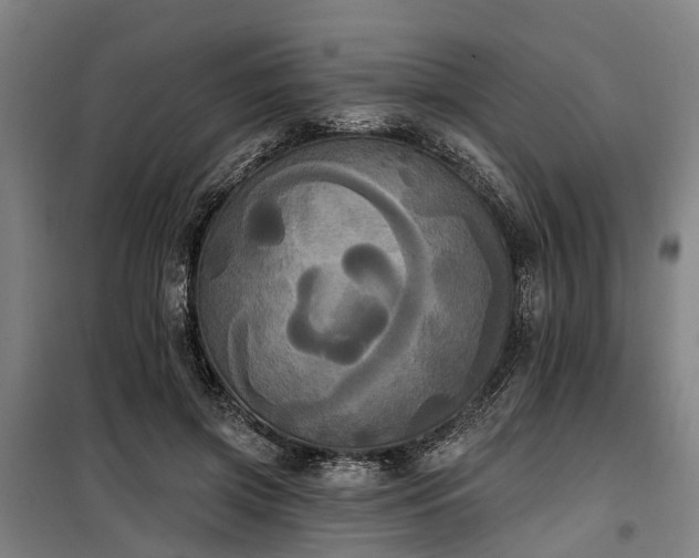 X0000100330549200806121130