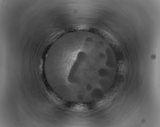 X0000100330550200806121130