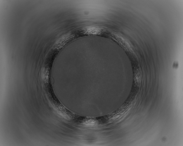 X0000100330551200806121130