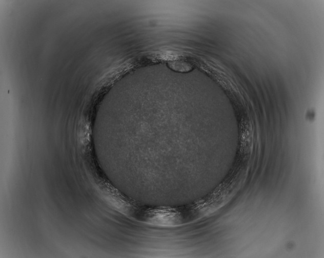 X0000100330555200806121130