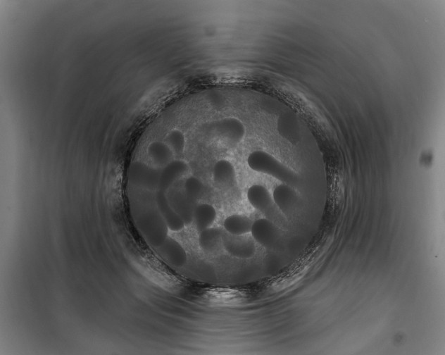 X0000100330557200806121130