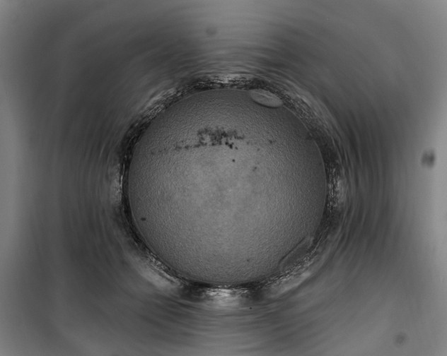 X0000100330558200806121130