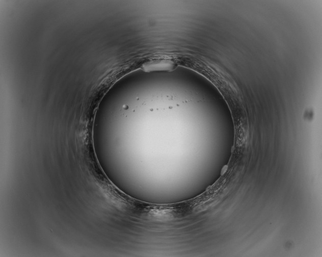 X0000100330560200806121130