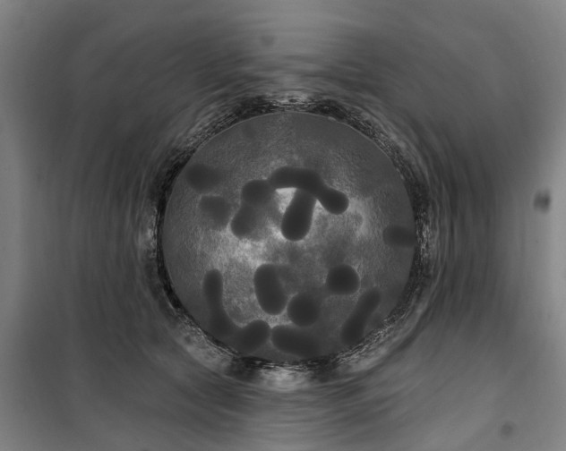 X0000100330561200806121130