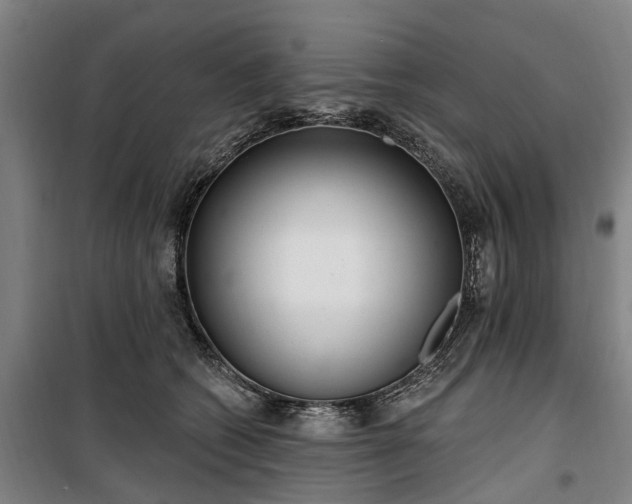 X0000100330562200806121130