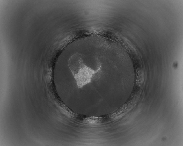 X0000100330563200806121130