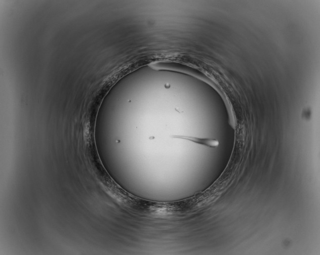 X0000100330564200806121130