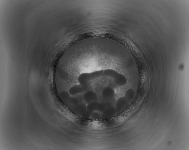 X0000100330565200806121130