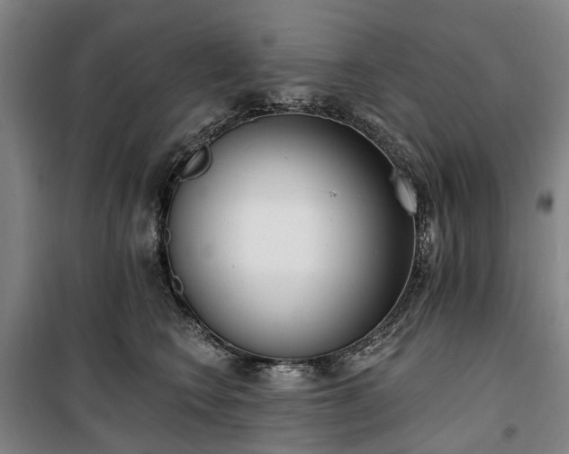 X0000100330566200806121130