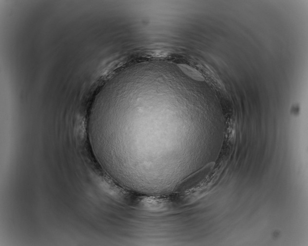 X0000100330568200806121130