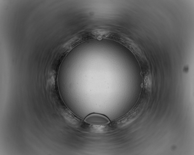 X0000100330570200806121130