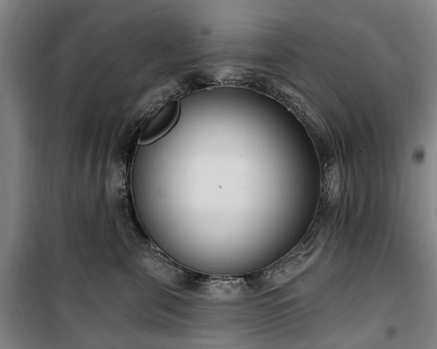 X0000100330571200806121130