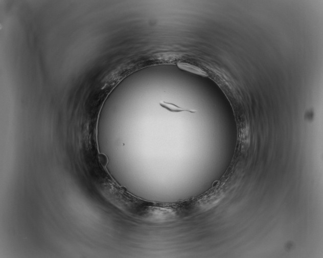 X0000100330572200806121130