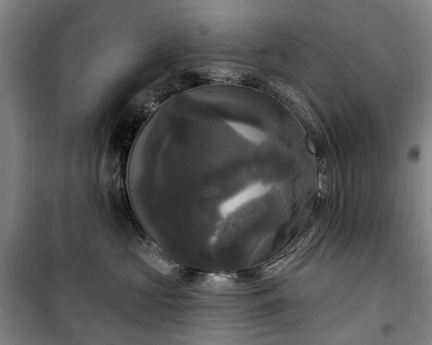 X0000100330573200806121130