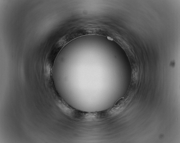 X0000100330574200806121130