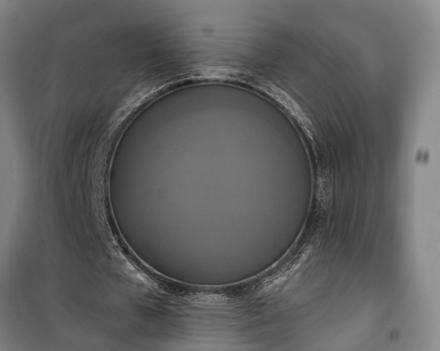 X0000100330577200806121130