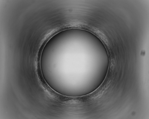 X0000100330578200806121130