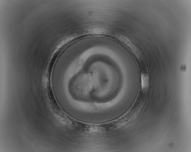 X0000100330579200806121130