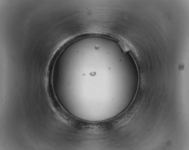 X0000100330580200806121130