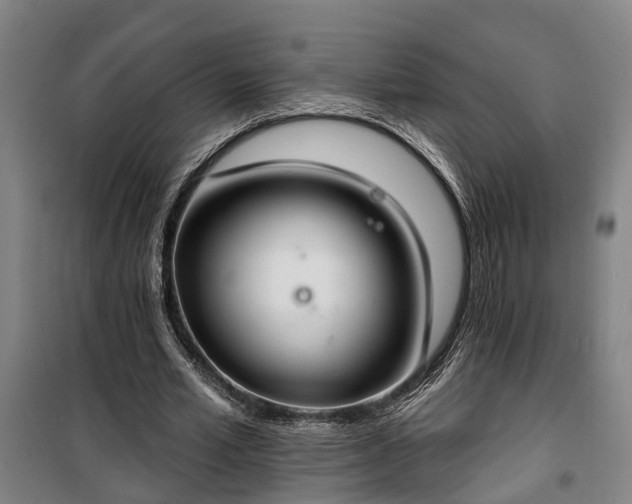 X0000100330581200806121130