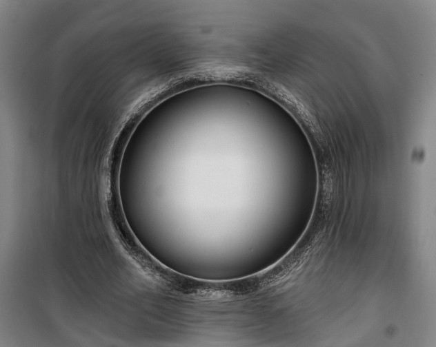 X0000100330582200806121130