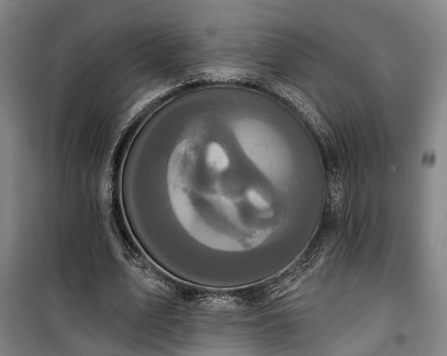 X0000100330583200806121130