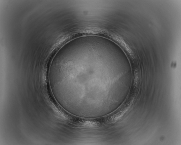 X0000100330585200806121130