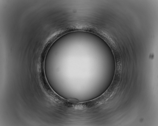 X0000100330587200806121130