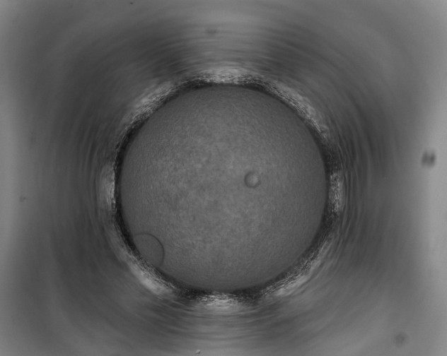 X0000100330589200806121130