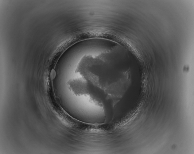 X0000100330590200806121130