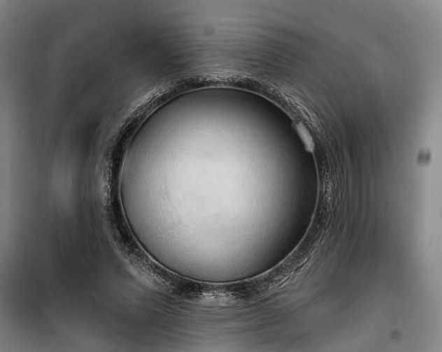 X0000100330591200806121130