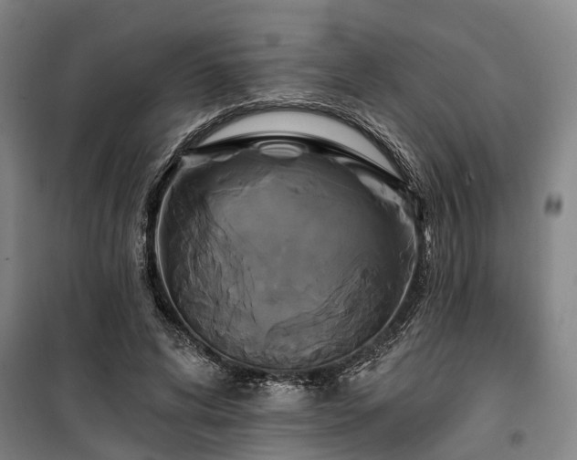 X0000100330592200806121130