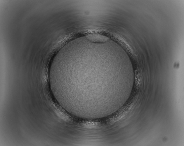 X0000100330593200806121129