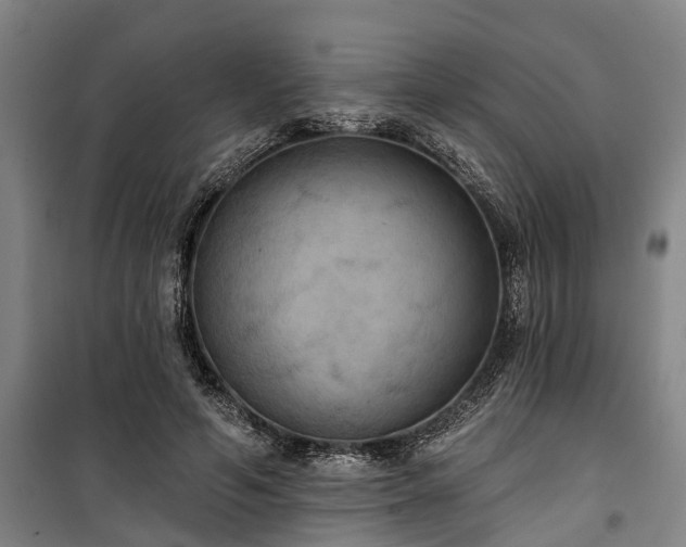 X0000100330594200806121129