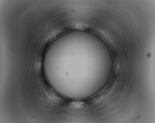 X0000100330595200806121129