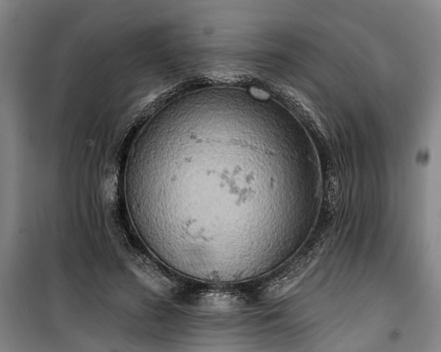 X0000100330596200806121129