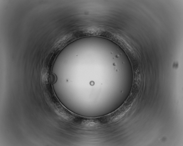 X0000100330597200806121129