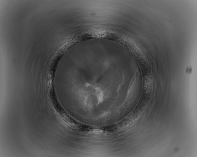 X0000100330598200806121129