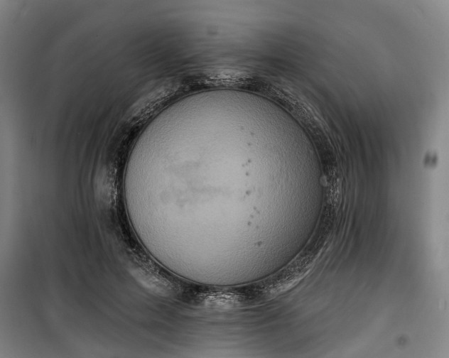 X0000100330599200806121129