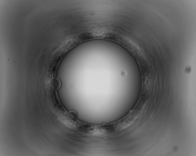 X0000100330601200806121129