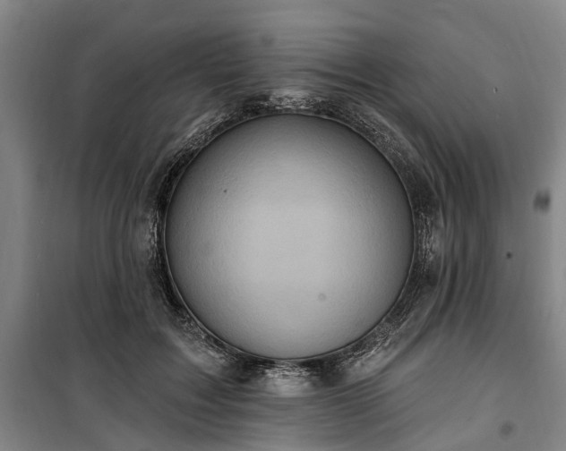 X0000100330603200806121129