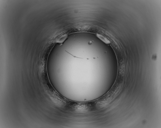 X0000100330604200806121129