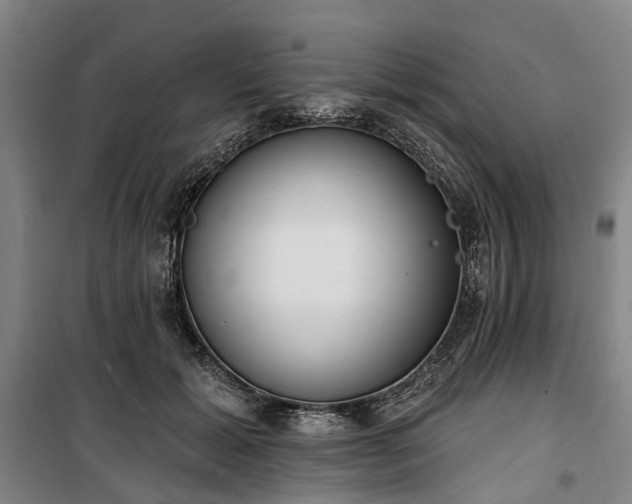 X0000100330605200806121129