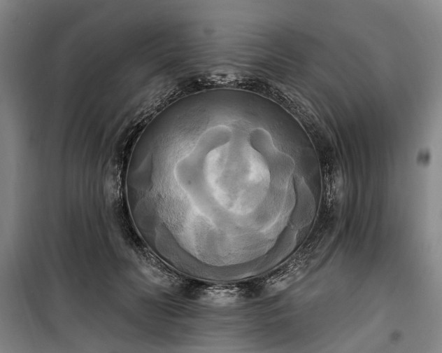 X0000100330606200806121129