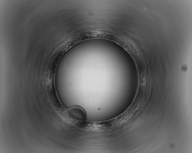 X0000100330607200806121129