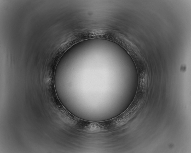 X0000100330608200806121129