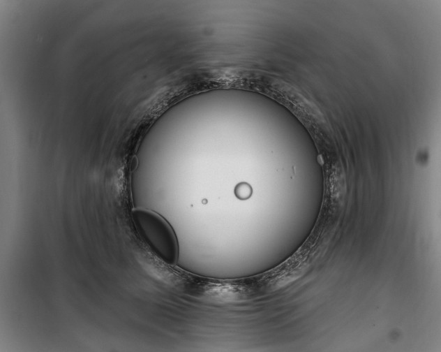 X0000100330611200806121129