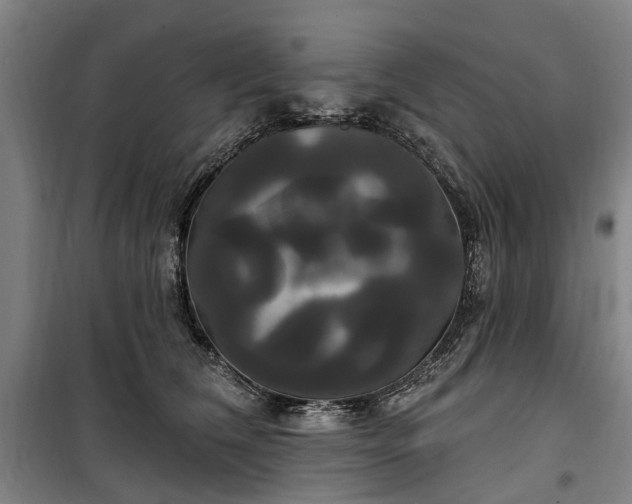 X0000100330612200806121129