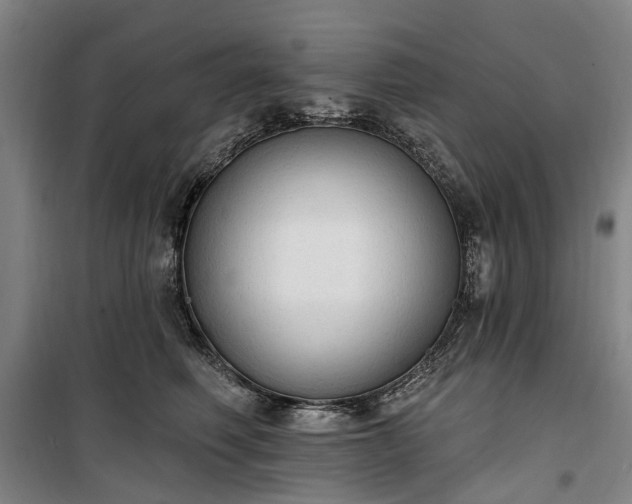 X0000100330614200806121129